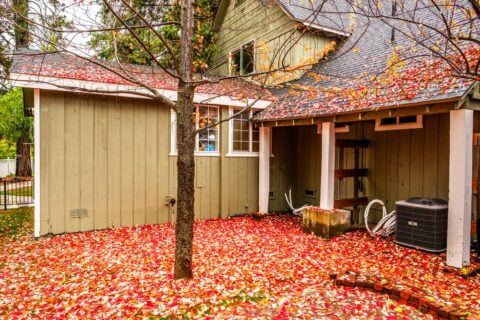A house with red leaves on the ground.