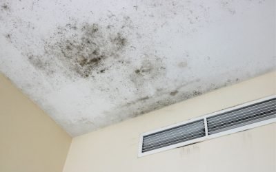 5 Signs of Mold In HVAC System (Is It Time To Call A Professional?)