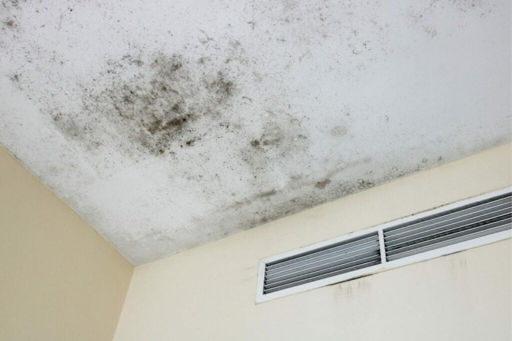 Mold and mildew on the ceiling of a room.