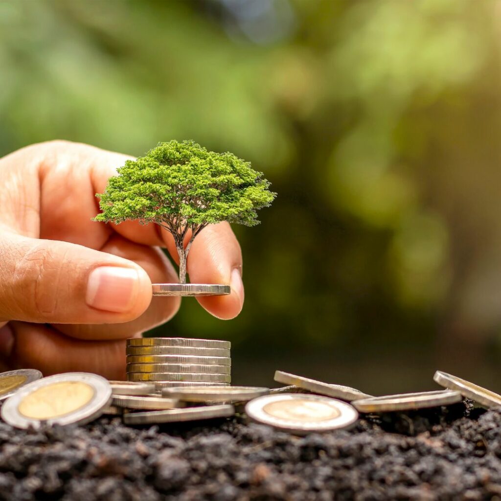 A hand nurturing a small tree on a stack of coins symbolizes growth and saving in one's hvac system with financing options.