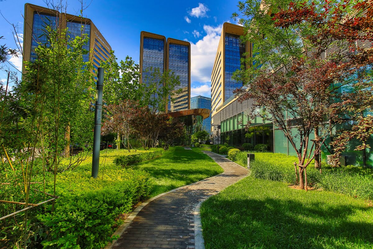 A pathway through a landscaped garden designed for energy efficiency leads to modern glass office buildings under a clear blue sky.