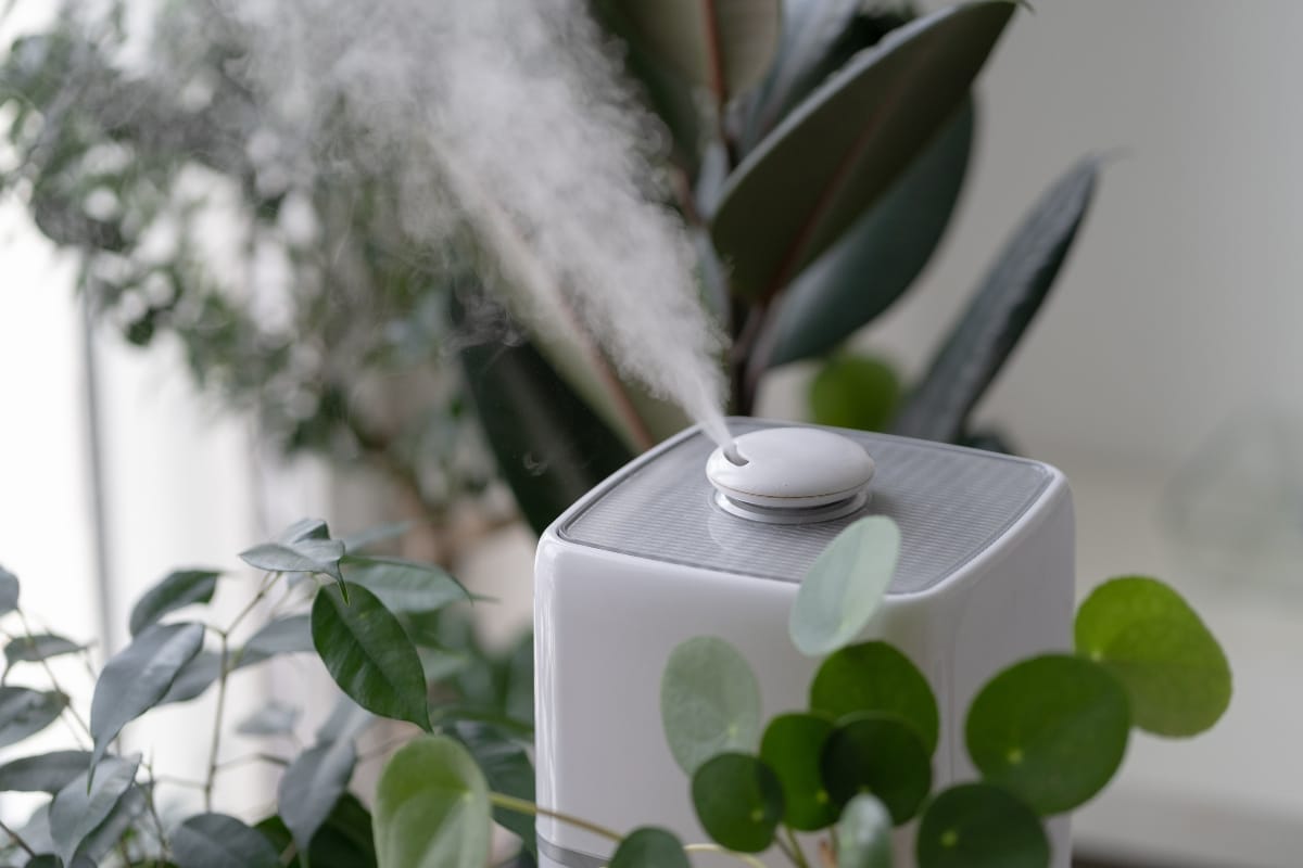 A white humidifier emitting visible mist provides optimal humidity control, surrounded by various green indoor plants.