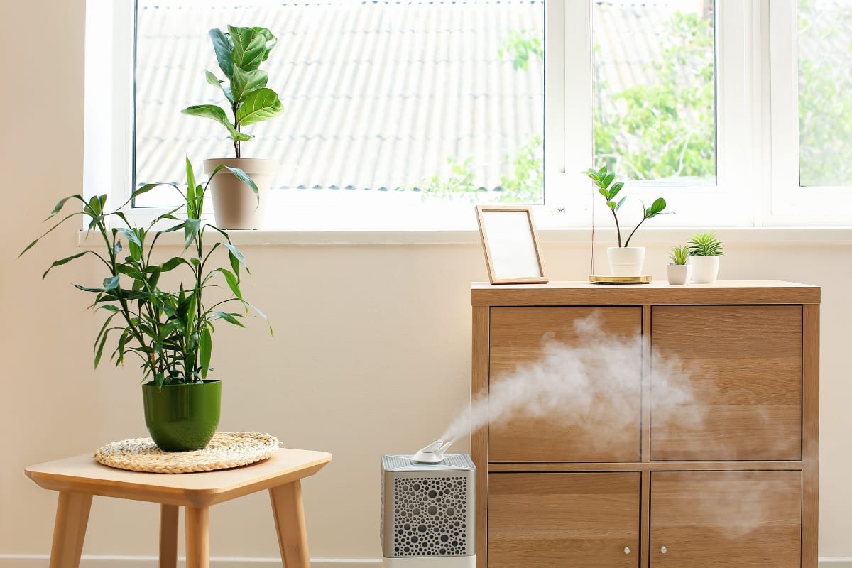 A humidifier provides humidity control, emitting mist next to a wooden cabinet with potted plants and a framed photo; more plants rest on a stool and windowsill in the bright, airy room.