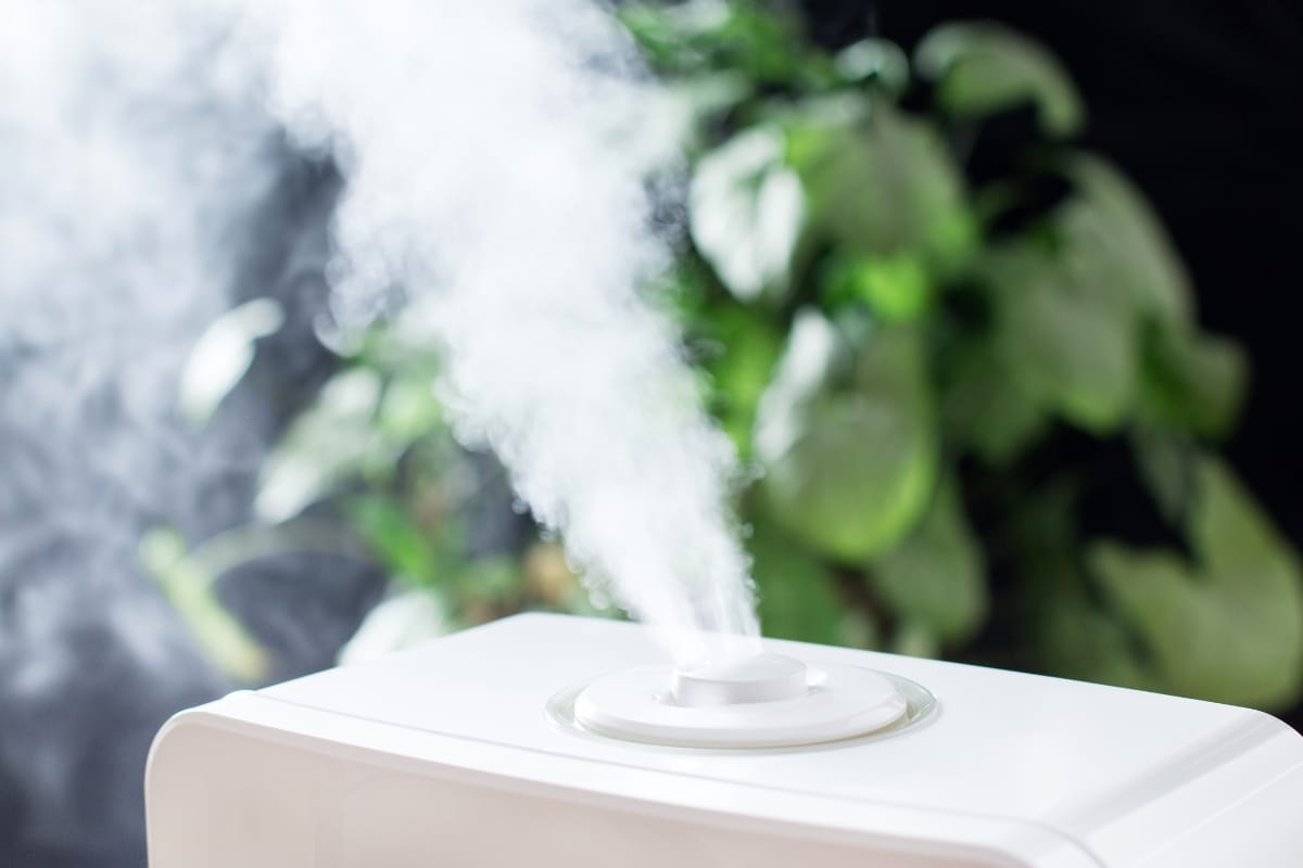 A white humidifier releasing visible mist, providing effective humidity control, with green leafy plants blurred in the background.