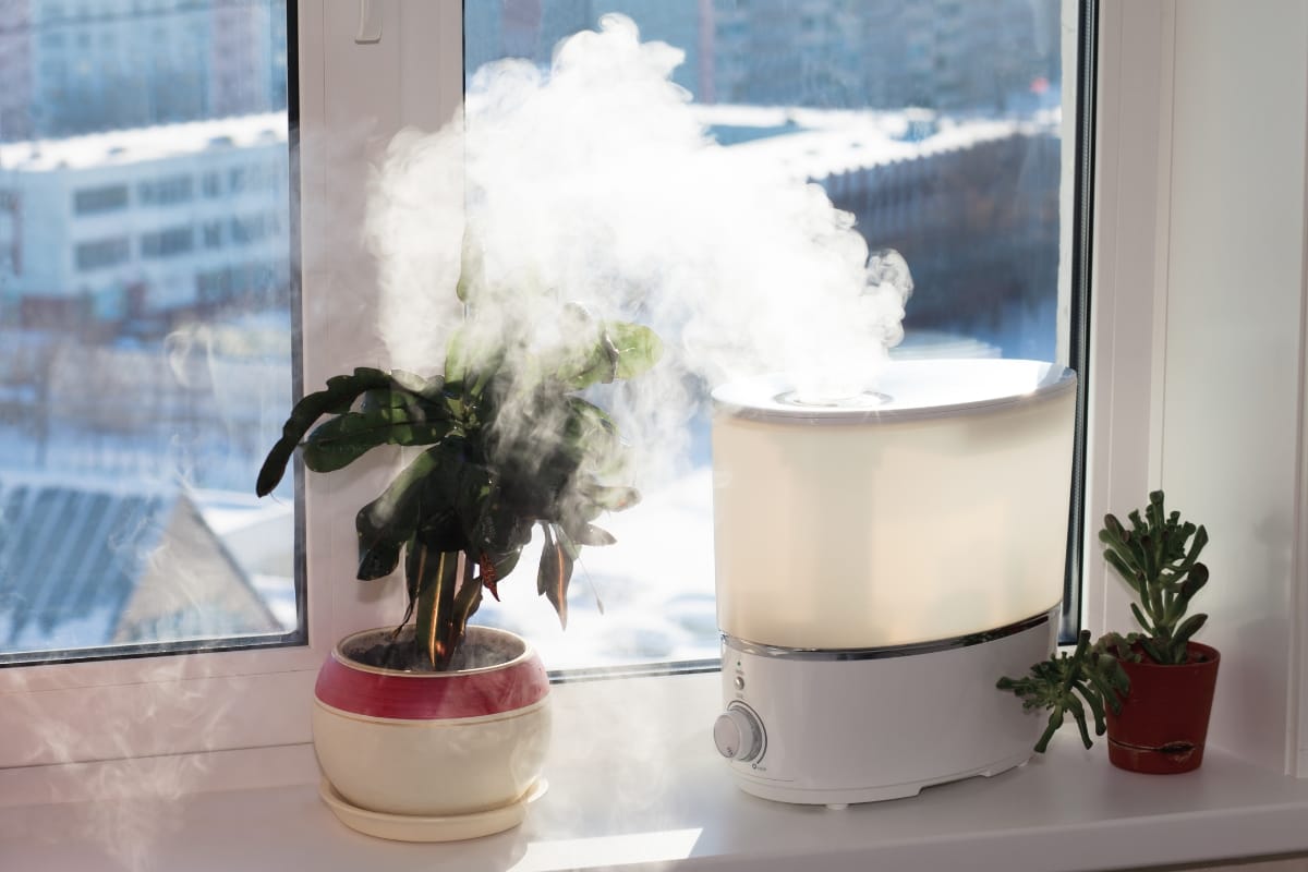 A humidifier providing humidity control emits visible steam on a windowsill beside two potted plants. Snow and buildings are visible outside the window.