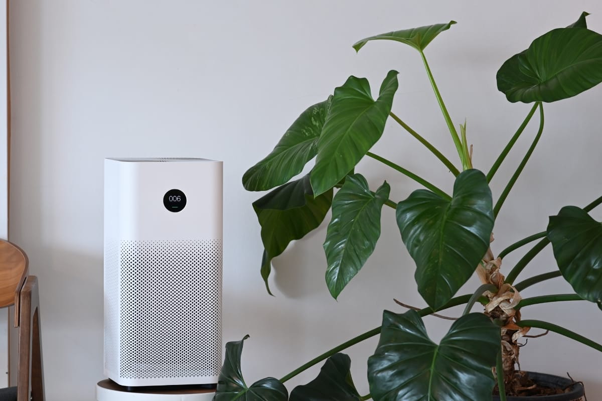 A white air purifier with a digital display sits next to a large green houseplant against a plain light-colored wall, offering clean air and supporting back-to-school HVAC needs.